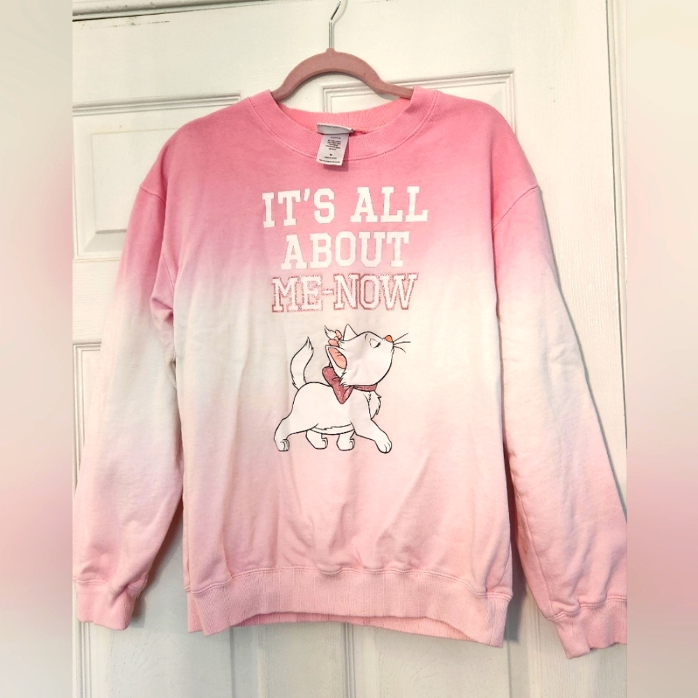 Disney Pink Ombre Sweater